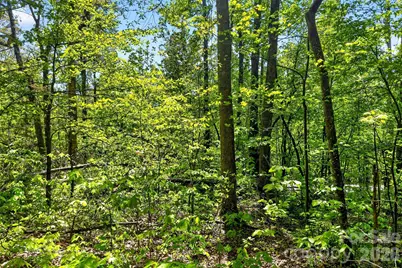 7 Gateway Parkway, Old Fort, NC 28762 - Photo 23