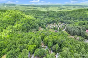 189 Friendly Cir, Saluda, NC 28773 - Photo 31
