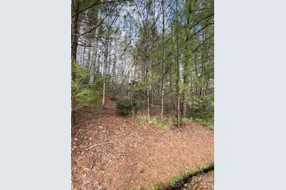 000 Waterford Place, Brevard, NC 28712 - Photo 7