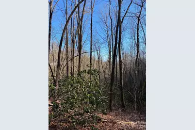 000 Waterford Place, Brevard, NC 28712 - Photo 13