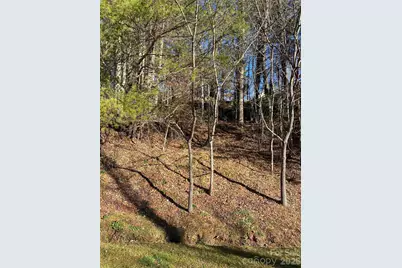 000 Waterford Place, Brevard, NC 28712 - Photo 3