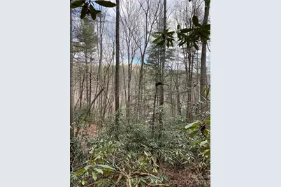 000 Waterford Place, Brevard, NC 28712 - Photo 15