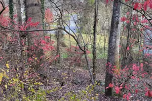 000 Waterford Pl, Brevard, NC 28712 - Photo 1
