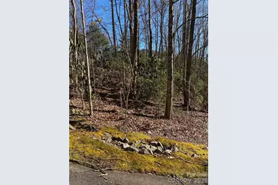 000 Waterford Place, Brevard, NC 28712 - Photo 11