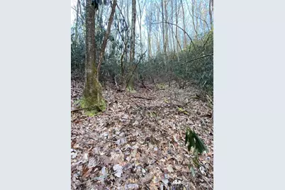 000 Waterford Place, Brevard, NC 28712 - Photo 5