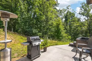 184 Sandys Home Pl, Mars Hill, NC 28754 - Photo 13