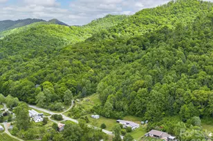 379 N Fork Rd, Barnardsville, NC 28709 - Photo 21