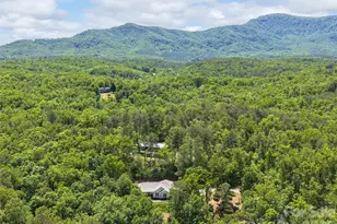 232 Wild Haven Way, Mill Spring, NC 28756 - Photo 33