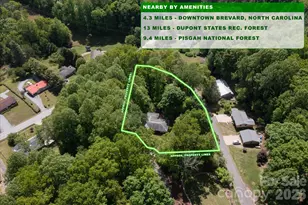 147 Barberry Heights Dr, Brevard, NC 28712 - Photo 35