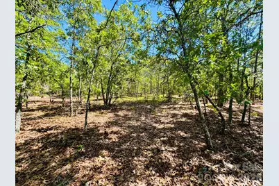 0000 Mt Olivet Church Road, Patrick, SC 29584 - Photo 9