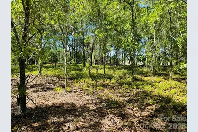 0000 Mt Olivet Church Road, Patrick, SC 29584 - Photo 25