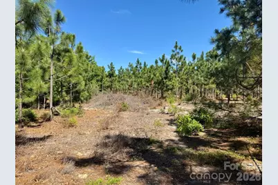 0000 Mt Olivet Church Road, Patrick, SC 29584 - Photo 13