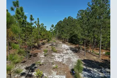 0000 Mt Olivet Church Road, Patrick, SC 29584 - Photo 5