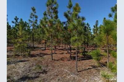 0000 Mt Olivet Church Road, Patrick, SC 29584 - Photo 3
