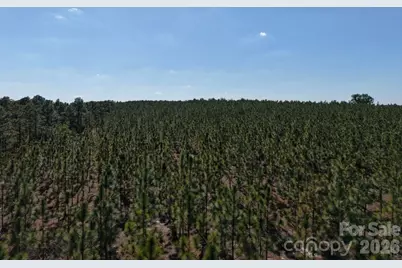 0000 Mt Olivet Church Road, Patrick, SC 29584 - Photo 15