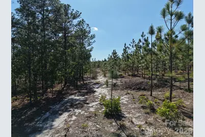 0000 Mt Olivet Church Road, Patrick, SC 29584 - Photo 19