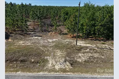 0000 Mt Olivet Church Road, Patrick, SC 29584 - Photo 29