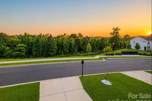 356 Hyssop Ct, Fort Mill, SC 29715 - Photo 3