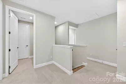 175 Landy Street, Fort Mill, SC 29715 - Photo 15