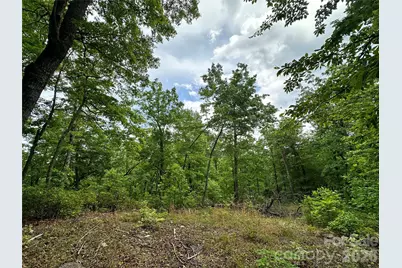 99999 Bird Creek Estates Road, Black Mountain, NC 28711 - Photo 23