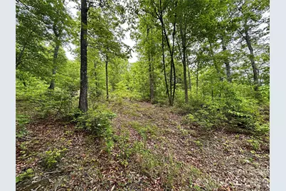 99999 Bird Creek Estates Road, Black Mountain, NC 28711 - Photo 33