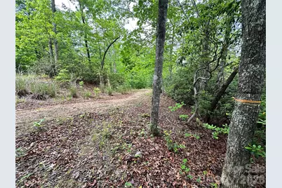 99999 Bird Creek Estates Road, Black Mountain, NC 28711 - Photo 7
