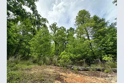 99999 Bird Creek Estates Road, Black Mountain, NC 28711 - Photo 1