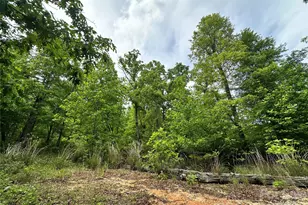 99999 Bird Creek Estates Rd, Black Mountain, NC 28711 - Photo 1