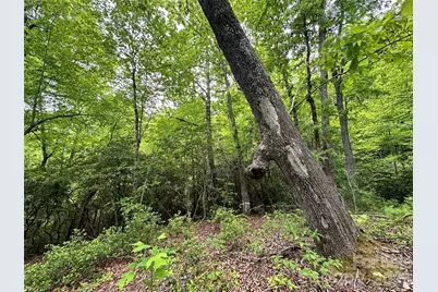 99999 Bird Creek Estates Road, Black Mountain, NC 28711 - Photo 35