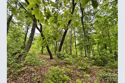 99999 Bird Creek Estates Road, Black Mountain, NC 28711 - Photo 31