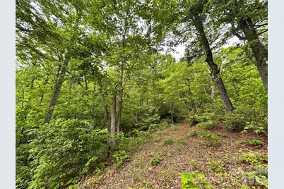 99999 Bird Creek Estates Road, Black Mountain, NC 28711 - Photo 29