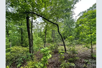 99999 Bird Creek Estates Road, Black Mountain, NC 28711 - Photo 3