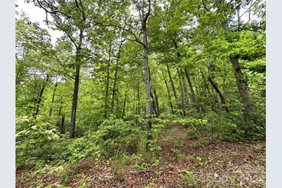 99999 Bird Creek Estates Road, Black Mountain, NC 28711 - Photo 39
