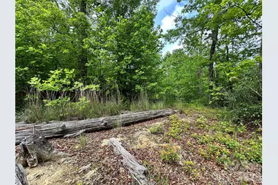 99999 Bird Creek Estates Road, Black Mountain, NC 28711 - Photo 11