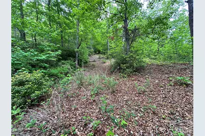 99999 Bird Creek Estates Road, Black Mountain, NC 28711 - Photo 17