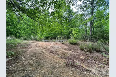 99999 Bird Creek Estates Road, Black Mountain, NC 28711 - Photo 5