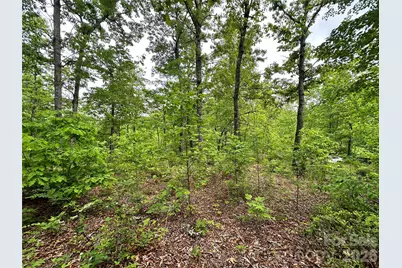 99999 Bird Creek Estates Road, Black Mountain, NC 28711 - Photo 13
