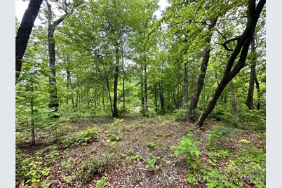 99999 Bird Creek Estates Road, Black Mountain, NC 28711 - Photo 15