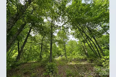 99999 Bird Creek Estates Road, Black Mountain, NC 28711 - Photo 21