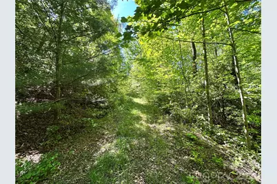 99999 Bird Creek Estates Road, Black Mountain, NC 28711 - Photo 47
