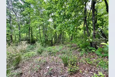 99999 Bird Creek Estates Road, Black Mountain, NC 28711 - Photo 37