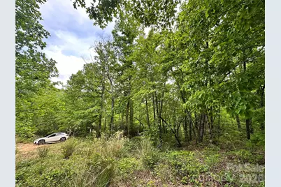 99999 Bird Creek Estates Road, Black Mountain, NC 28711 - Photo 27