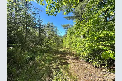 99999 Bird Creek Estates Road, Black Mountain, NC 28711 - Photo 45