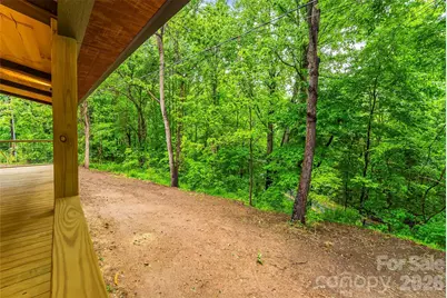 1737 Newfound Road, Leicester, NC 28748 - Photo 33
