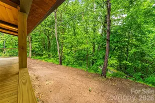 1737 Newfound Rd, Leicester, NC 28748 - Photo 33