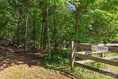 3205 Collinsville Road, Columbus, NC 28722 - Photo 5