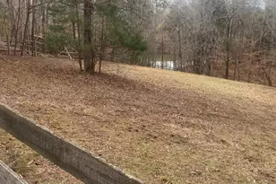 3205 Collinsville Rd, Columbus, NC 28722 - Photo 39