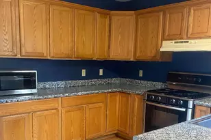 3205 Collinsville Rd, Columbus, NC 28722 - Photo 17