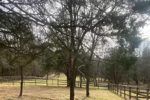 3205 Collinsville Rd, Columbus, NC 28722 - Photo 33