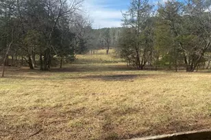 3205 Collinsville Rd, Columbus, NC 28722 - Photo 29